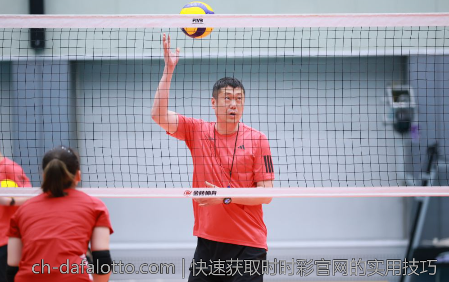 快速获取时时彩官网的实用技巧
