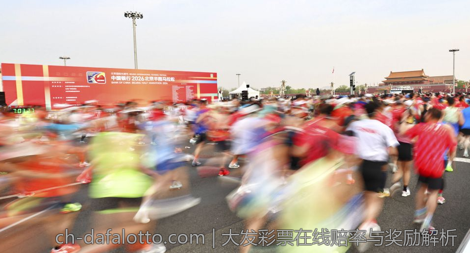 大发彩票在线赔率与奖励解析