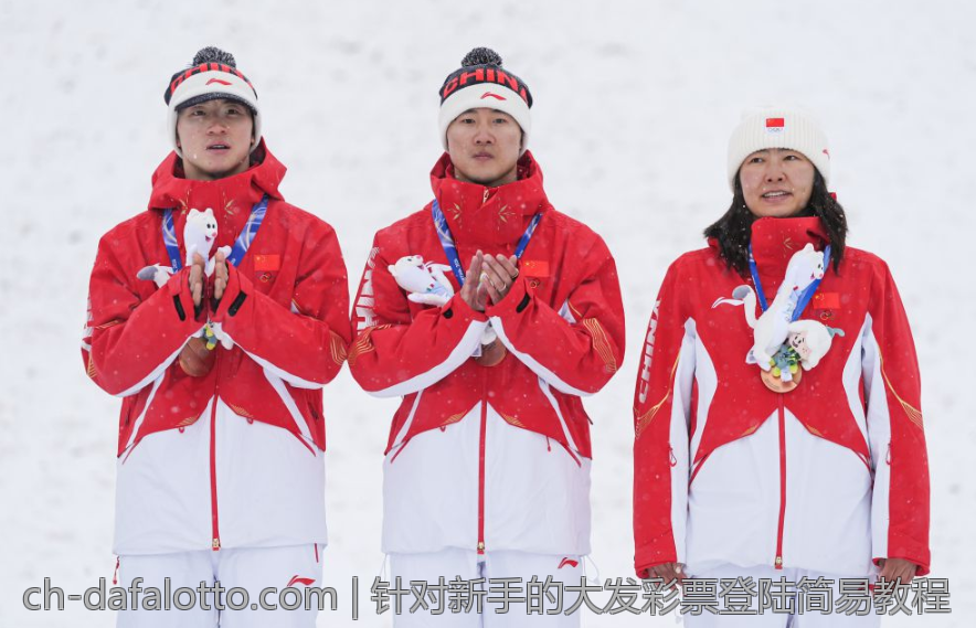针对新手的大发彩票登陆简易教程